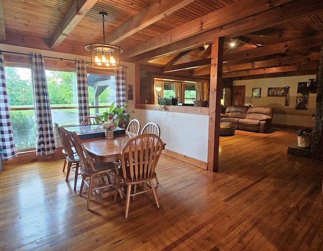 dining room with wood-type flooring, a notable chandelier, a healthy amount of sunlight, and beam ceiling