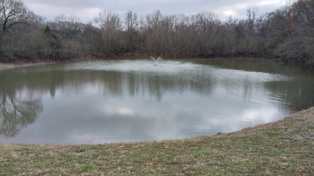 property view of water with a view of trees