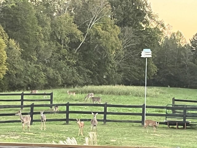 surrounding community featuring fence, a yard, and a rural view