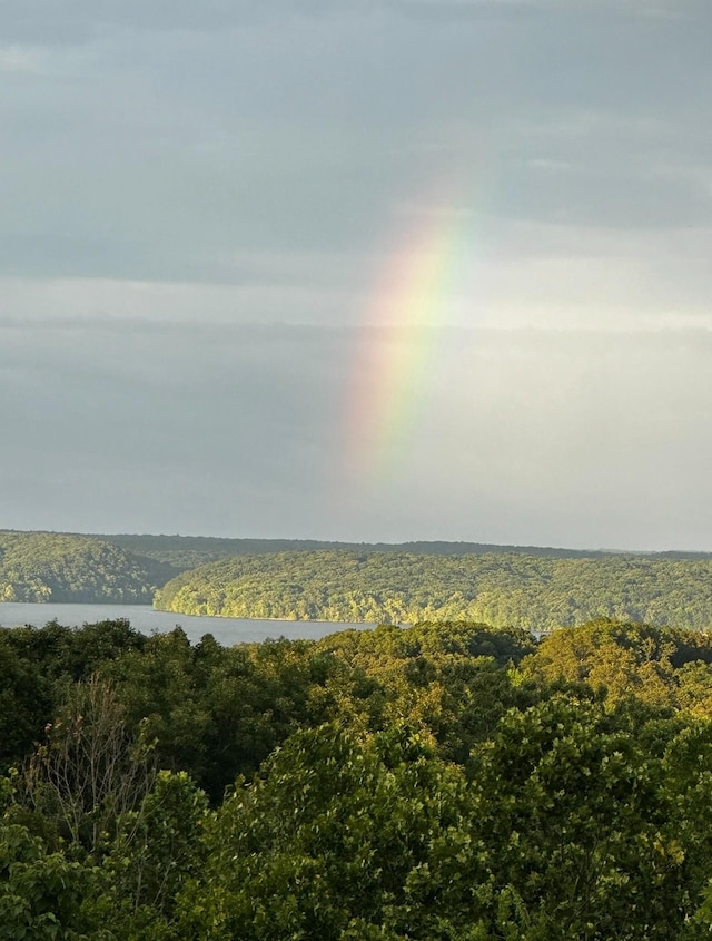 property view of water featuring a wooded view