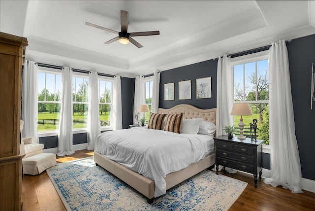 bedroom with a tray ceiling, multiple windows, and wood finished floors