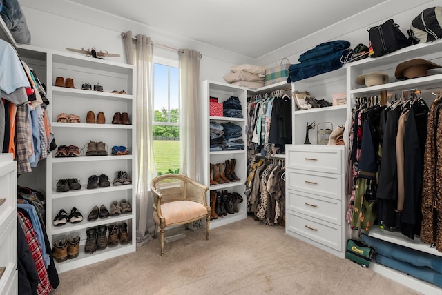 spacious closet with light carpet