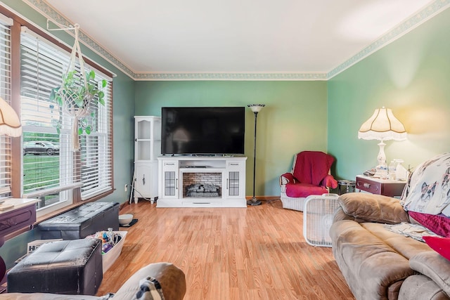 living room featuring ornamental molding, wood finished floors, and a fireplace