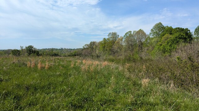 0 Meadows Rd, Portland, TN 37148 - photo 3