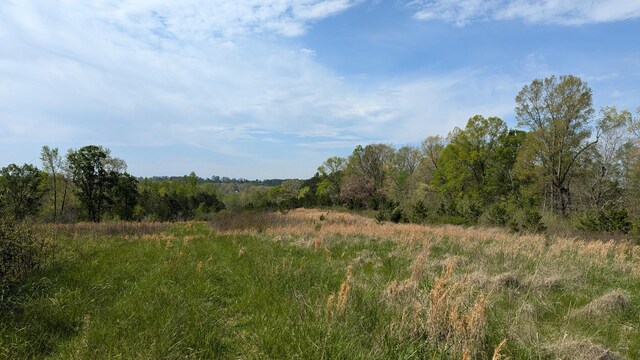 0 Meadows Rd, Portland, TN 37148 - photo 6