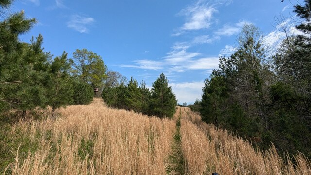 0 Meadows Rd, Portland, TN 37148 - photo 9