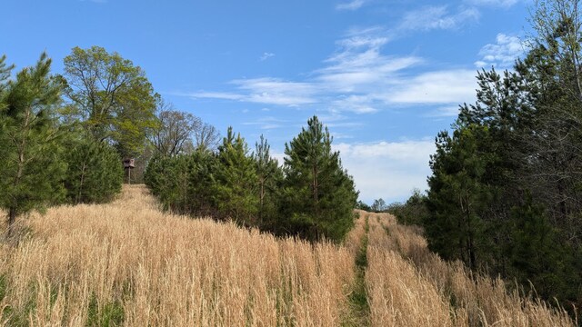 0 Meadows Rd, Portland, TN 37148 - photo 8