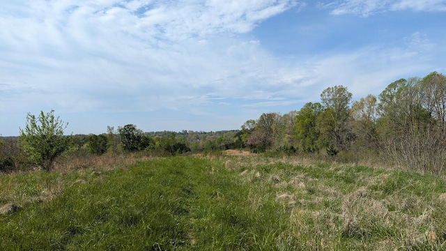 0 Meadows Rd, Portland, TN 37148 - photo 5