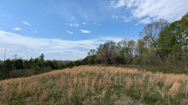 0 Meadows Rd, Portland, TN 37148 - photo 2