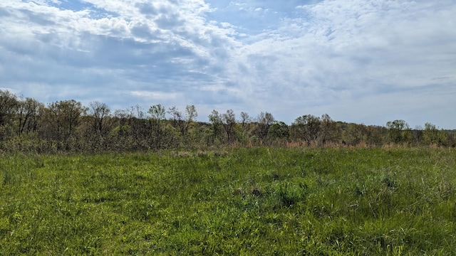 0 Meadows Rd, Portland, TN 37148 - photo 4