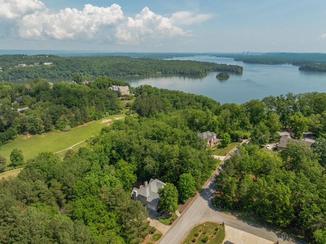 7237 River Run Dr, Chattanooga, TN 37416 - bird's eye view featuring a water view and a forest view