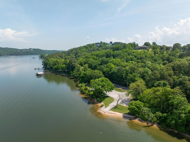 7237 River Run Dr, Chattanooga, TN 37416 - drone / aerial view featuring a water view and a view of trees
