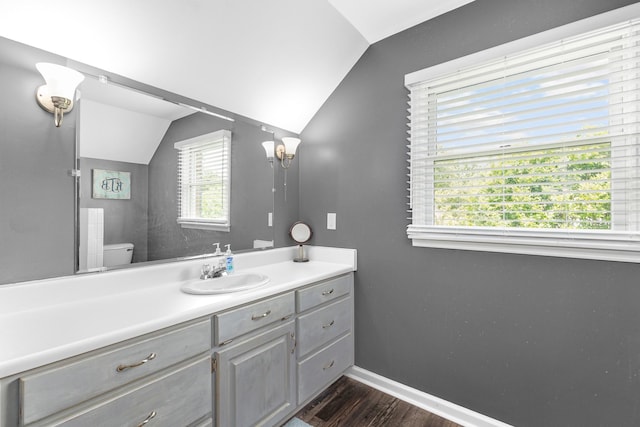 140 Keele Rd, Manchester, TN 37355 - bathroom featuring vaulted ceiling, wood finished floors, baseboards, vanity, and toilet