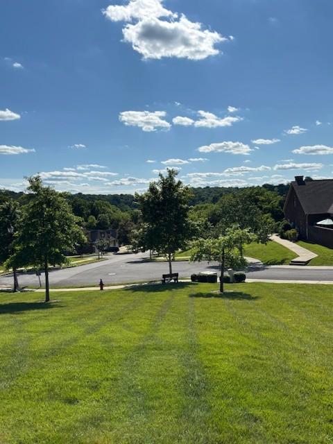 100 Placid Grove Ln Unit 2002, Goodlettsville, TN 37072 - view of property's community featuring a yard