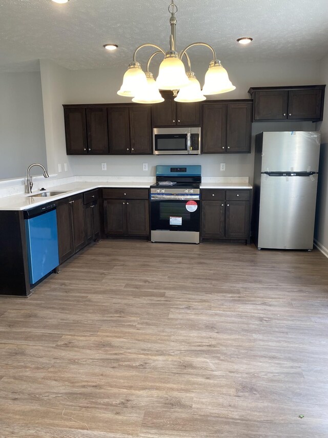 103 Glentree Cv, Smyrna, TN 37167 - kitchen featuring appliances with stainless steel finishes, a sink, dark brown cabinets, light wood-style flooring, and light countertops