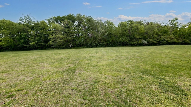 1213 Shackelford Dr, Mount Pleasant, TN 38474 - view of yard with a wooded view