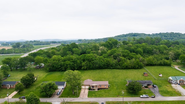 1213 Shackelford Dr, Mount Pleasant, TN 38474 - bird's eye view with a rural view