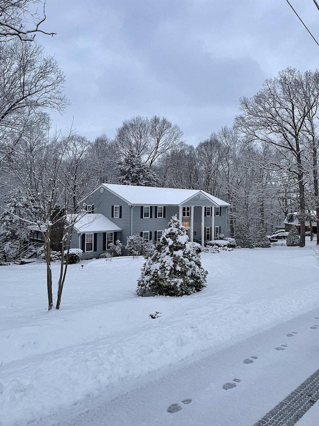 319 Powder Mill Dr, Ashland City, TN 37015 - view of front of home