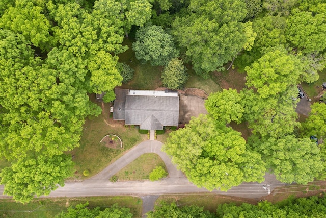 319 Powder Mill Dr, Ashland City, TN 37015 - bird's eye view