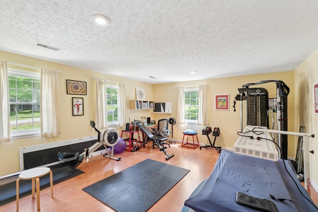 319 Powder Mill Dr, Ashland City, TN 37015 - workout area featuring a healthy amount of sunlight, wood finished floors, a textured ceiling, and visible vents