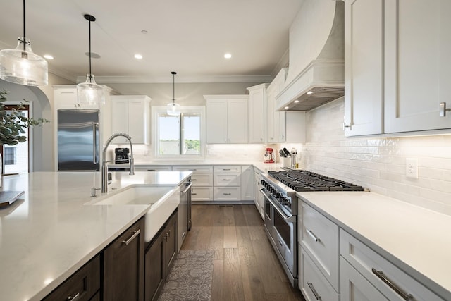 121 Dylan Woods Dr, Nolensville, TN 37135 - kitchen featuring crown molding, high quality appliances, a sink, light countertops, and custom range hood