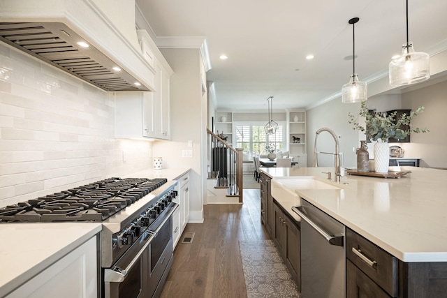 121 Dylan Woods Dr, Nolensville, TN 37135 - kitchen featuring appliances with stainless steel finishes, a sink, premium range hood, ornamental molding, and white cabinetry