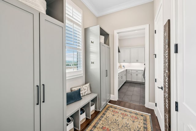 mudroom with ornamental molding, dark wood finished floors, and a wealth of natural light