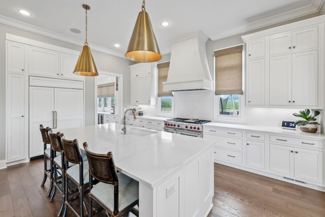 kitchen with premium range hood, plenty of natural light, light countertops, a sink, and high end range