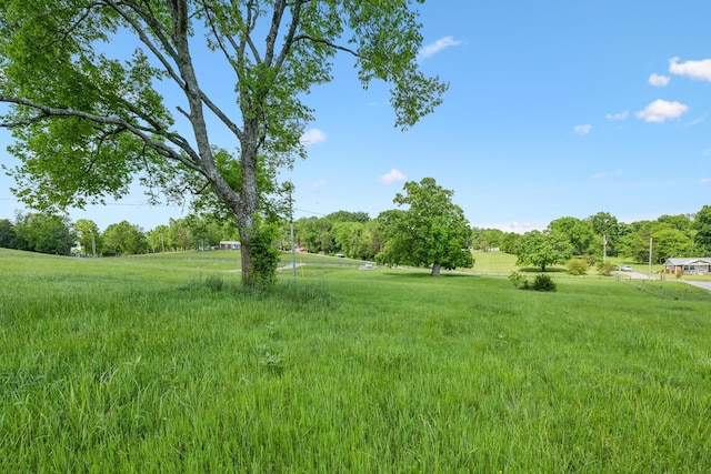2000 Linwood Rd, Watertown, TN 37184 - photo 2