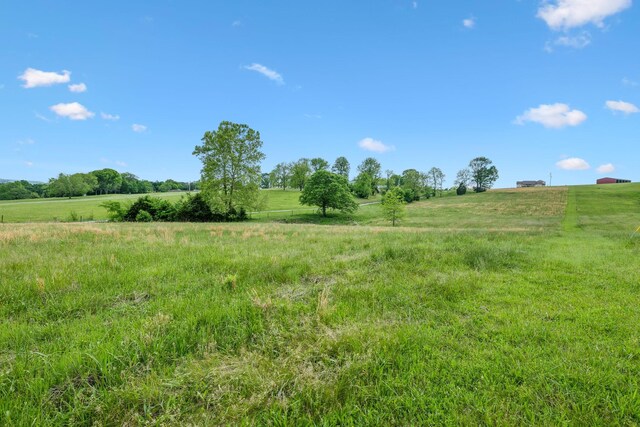 2000 Linwood Rd, Watertown, TN 37184 - photo 4