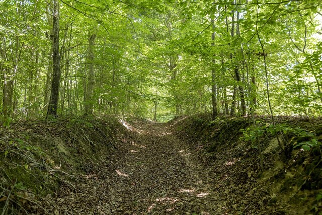 8901 Primm Springs Rd, Primm Springs, TN 38476 - view of local wilderness with a view of trees