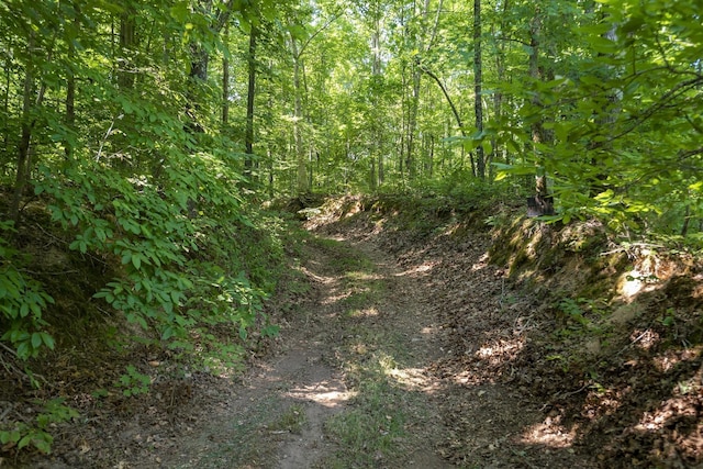 8901 Primm Springs Rd, Primm Springs, TN 38476 - view of landscape featuring a wooded view