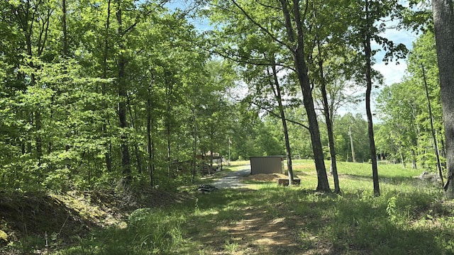 8901 Primm Springs Rd, Primm Springs, TN 38476 - exterior space with a wooded view