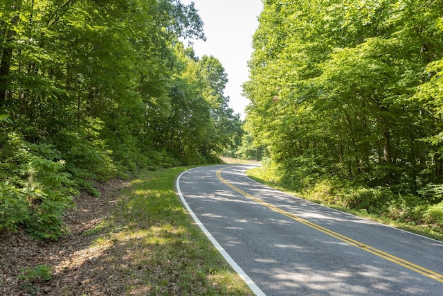 8901 Primm Springs Rd, Primm Springs, TN 38476 - view of road featuring a view of trees