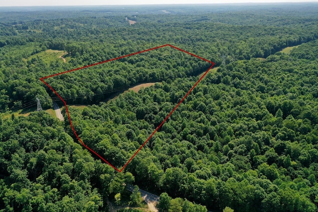 8901 Primm Springs Rd, Primm Springs, TN 38476 - birds eye view of property featuring a wooded view