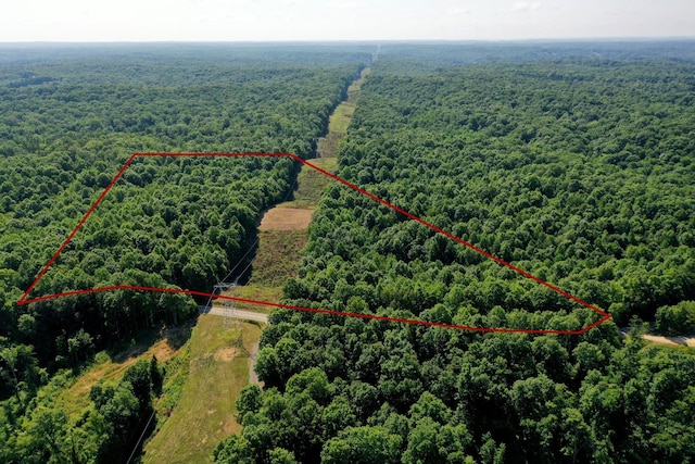 8901 Primm Springs Rd, Primm Springs, TN 38476 - drone / aerial view with a forest view