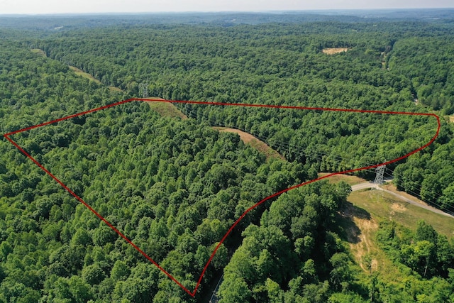 8901 Primm Springs Rd, Primm Springs, TN 38476 - birds eye view of property with a wooded view
