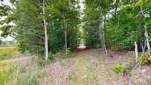 8901 Primm Springs Rd, Primm Springs, TN 38476 - view of landscape