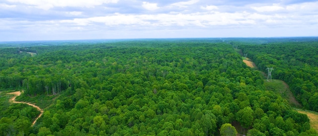 8901 Primm Springs Rd, Primm Springs, TN 38476 - bird's eye view featuring a forest view