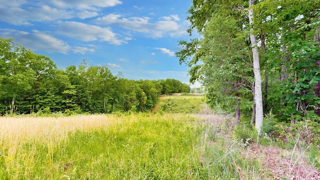 8901 Primm Springs Rd, Primm Springs, TN 38476 - view of nature