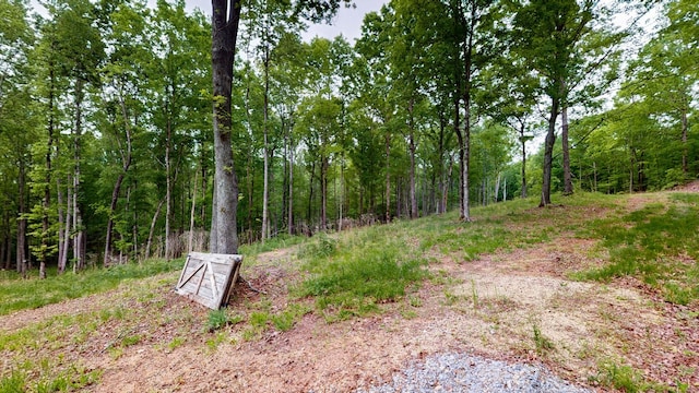 8901 Primm Springs Rd, Primm Springs, TN 38476 - view of yard featuring a view of trees