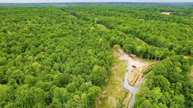 8901 Primm Springs Rd, Primm Springs, TN 38476 - aerial view featuring a view of trees