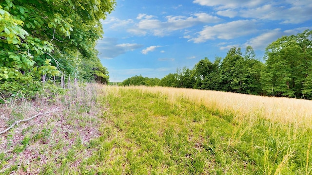 8901 Primm Springs Rd, Primm Springs, TN 38476 - view of landscape