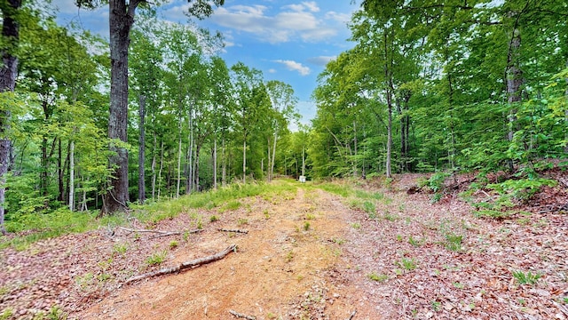 8901 Primm Springs Rd, Primm Springs, TN 38476 - view of landscape featuring a view of trees