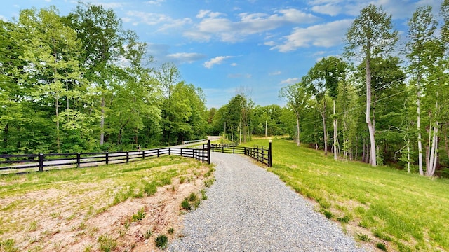8901 Primm Springs Rd, Primm Springs, TN 38476 - exterior space featuring a wooded view