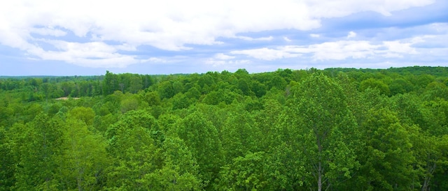 8901 Primm Springs Rd, Primm Springs, TN 38476 - view of nature with a view of trees