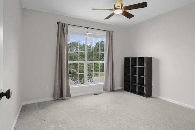 119 Westfield Dr, Columbia, TN 38401 - photo 17