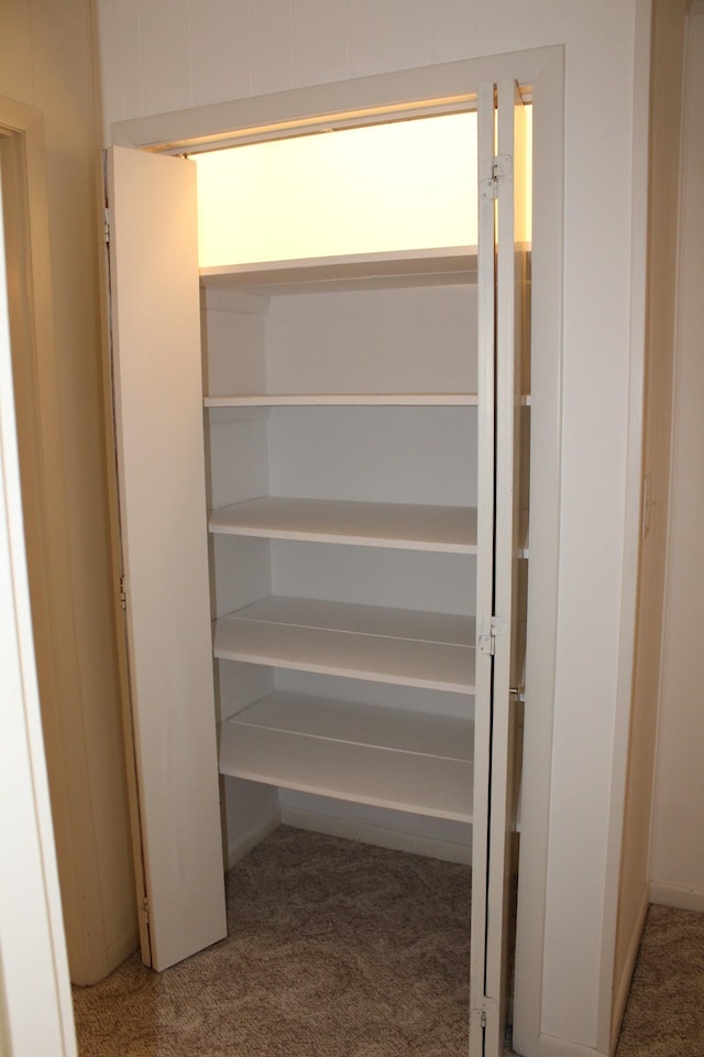 view of closet