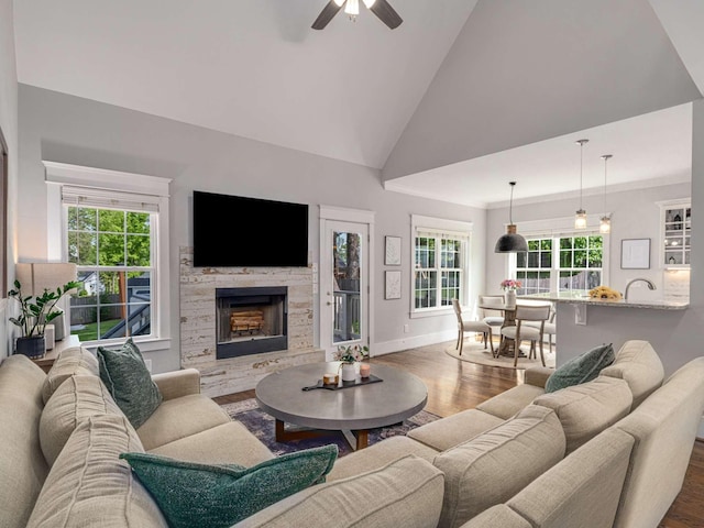 living area with a ceiling fan, wood finished floors, a healthy amount of sunlight, and a fireplace