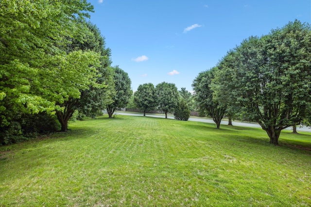 104 Drayton Ct, Franklin, TN 37067 - view of yard